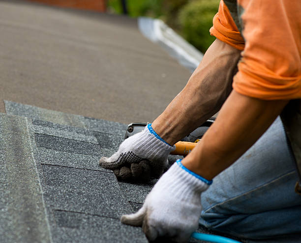 Best Roof Repair Services  in Rohnert Park, CA